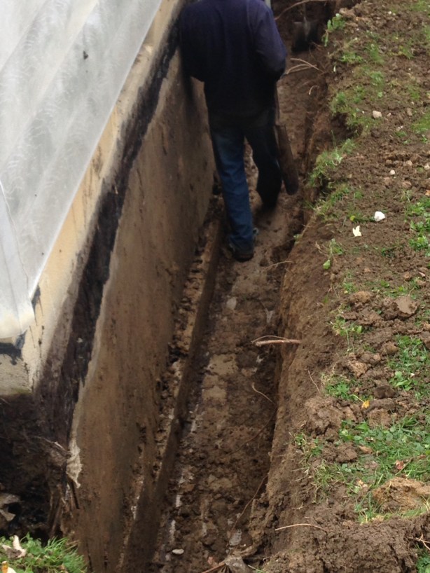 Before basement door